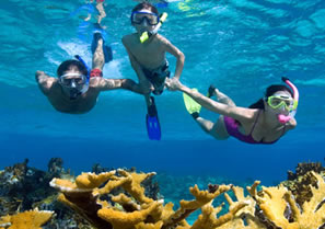 Kids snorkeling on top of a reef